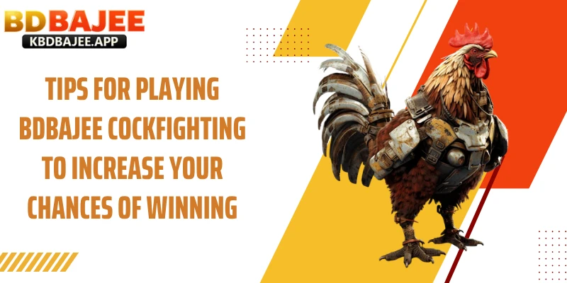 Tips for Playing BDBAJEE Cockfighting to Increase Your Chances of Winning